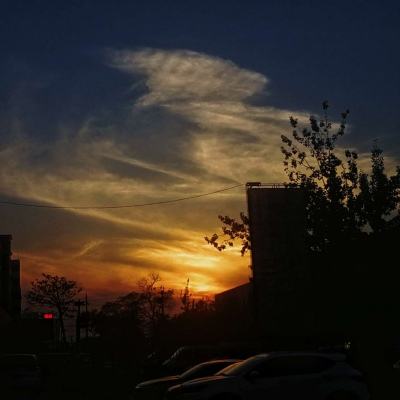 帝一娱乐下载手机版