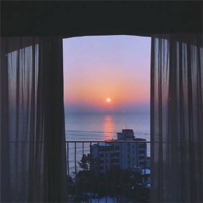 半导体育官方app