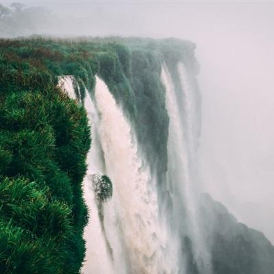 乐鱼APP下载手机版