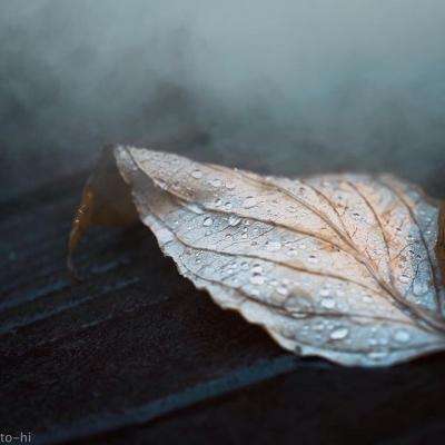 pg游戏麻将胡了网址